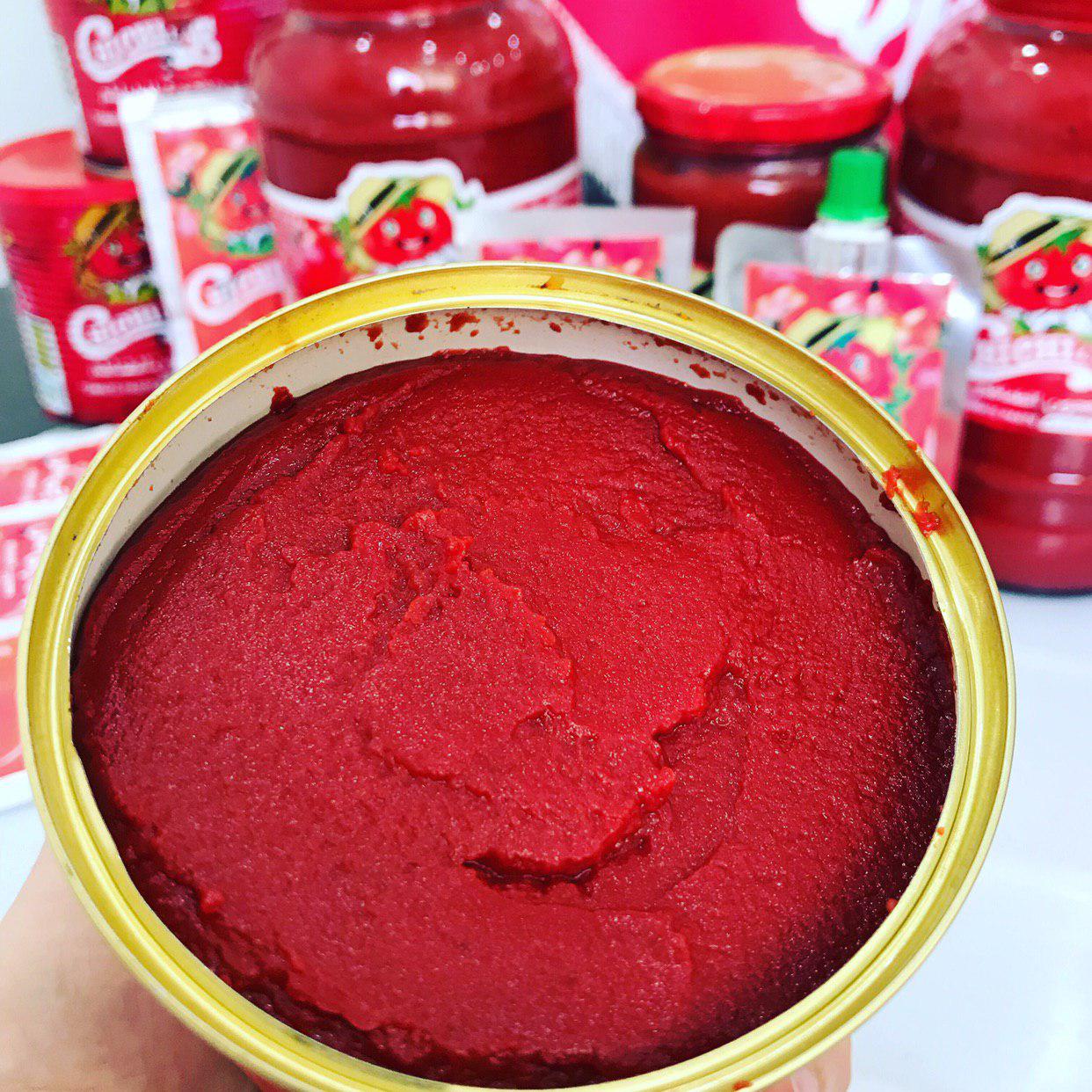 Discover the best tomato paste brand for export, offering premium quality, rich flavor, and reliable supply for international markets.